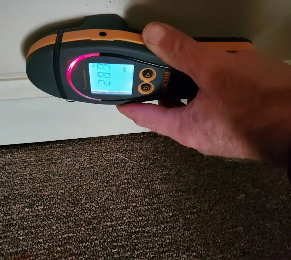 Moisture detection at baseboard during Mold Inspection & Testing in Folsom